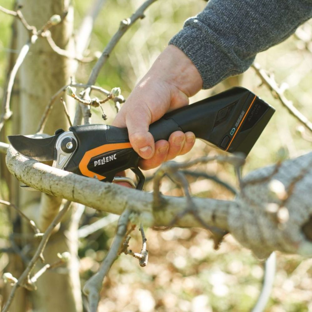 SECATEUR PELLENC PACK C3X-4